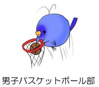 男子バスケットボール部