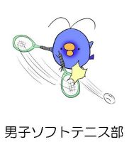 男子ソフトテニス部