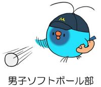 男子ソフトボール部